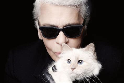 Dónde está Choupette, la gata que enamoró a Karl Lagerfeld.